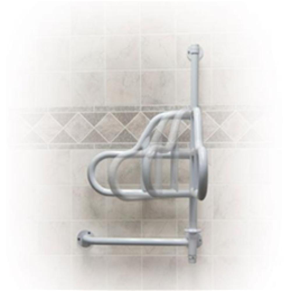 Image for product - Wall Mounted Assist Rail